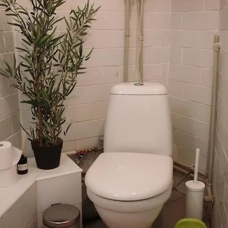 Apartment Rosa In Cesis